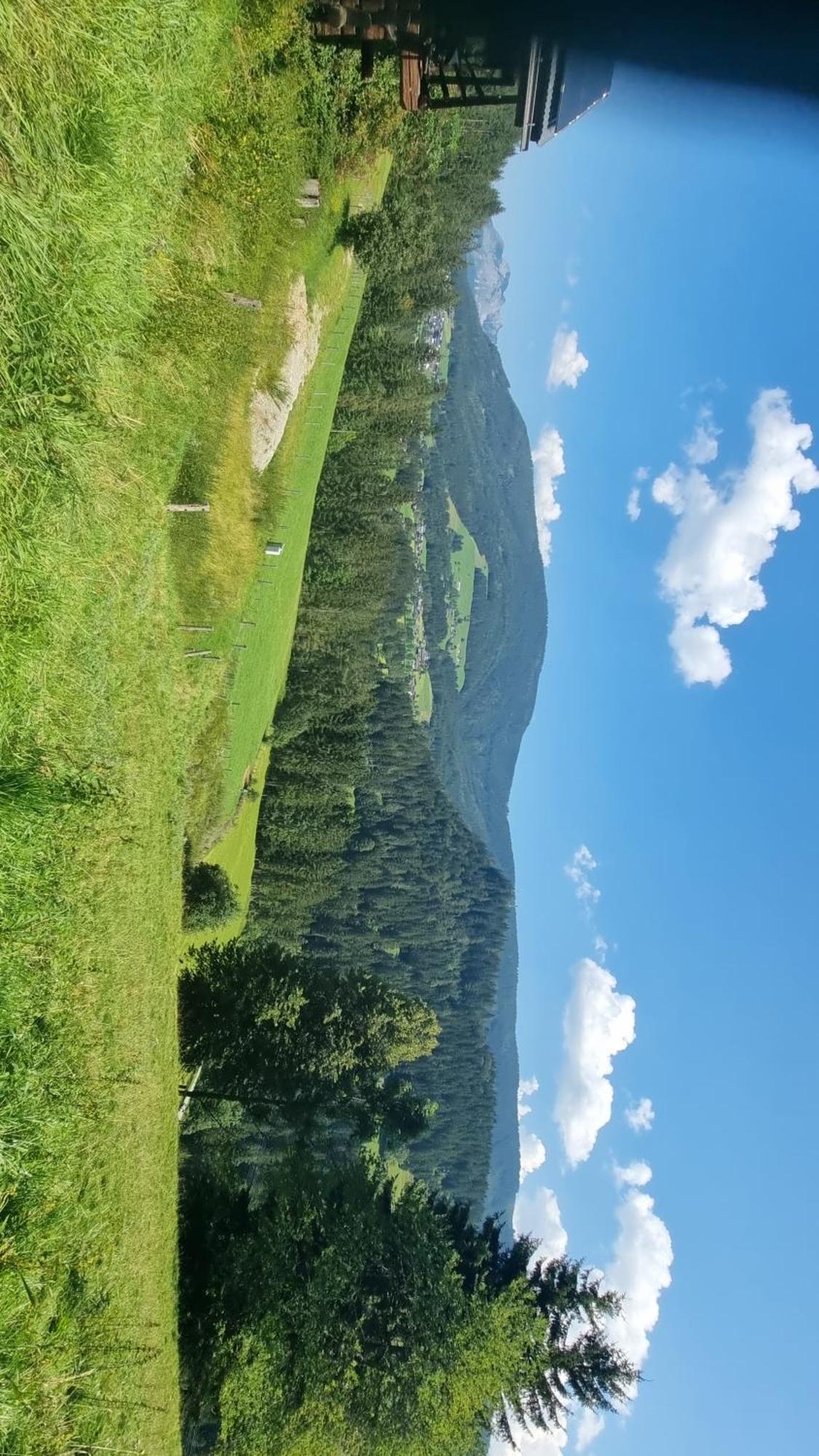 Bed and Breakfast Buttermilchalm Санкт-Мартин-ам-Тенненгебирге Экстерьер фото